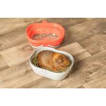 Trixie Traveller Pico - Caja de transporte 30 x 21 x 23 cm diseño de conejillos de indias - multi - Ver 5