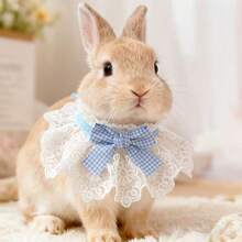Rabbit Bib With Cute Bow Tie, Suitable For Various Sizes Of Rabbits, Lace Rabbit Bib, Applicable To Angora, Dutch Dwarf, Cats And Small Pet Rabbits, Adorable Pet Accessories, Fashionable Rabbit Accessories | Playful Collar Design, Rabbit Accessories - Multicolor - View 14