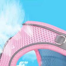 Bộ vòng cổ, dây xích và dây đeo cho thú cưng - Hồng - Xem 4