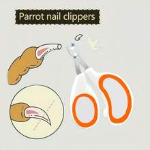 4-Piece Bird Grooming Kit, Includes Nail Clipper, Feather Brush, File, And Beak Grinder - Compact And Easy-To-Use Tools For Cockatiel, Parrot, Lovebird And Other Small Pet Birds - Daily Feather, Nail And Beak Care - Multicolor - View 2