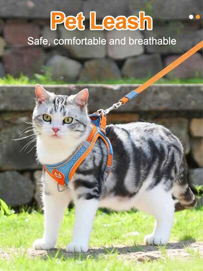 防逃脱猫咪胸背带及牵引绳套装，可调节柔软透气防摩擦设计，适合幼猫至成猫户外散步