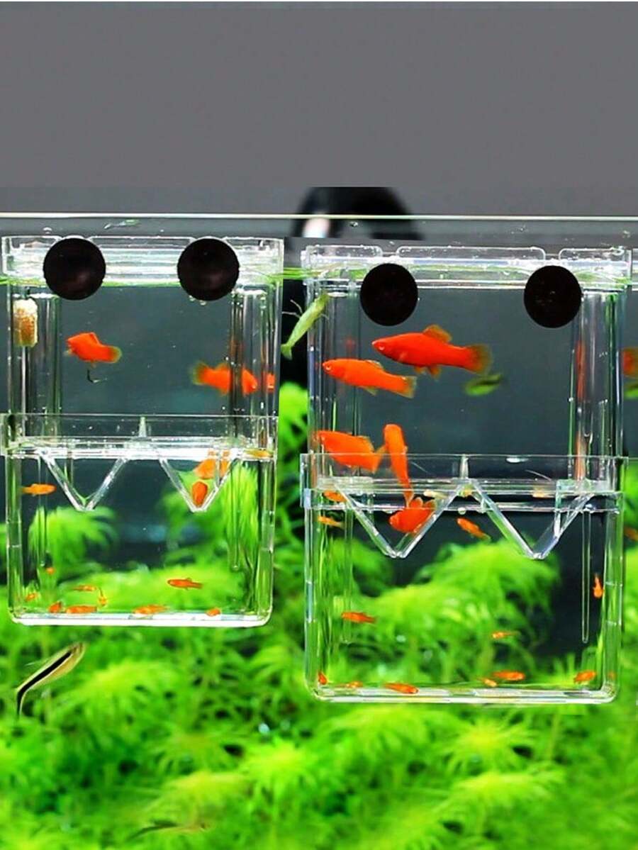 1pc PVC Material Fish Breeding Box, Double-Layer Transparent Fish Breeding Isolation Box, Hatchery Aquarium Spawning Tank