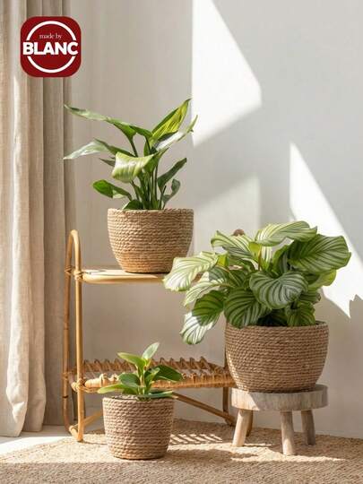 3个装草编花盆，简约实心盆栽植物容器，家用 + 新款4个装草编花盆