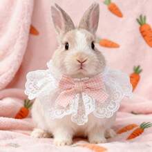 Rabbit Bib With Cute Bow Tie, Suitable For Various Sizes Of Rabbits, Lace Rabbit Bib, Applicable To Angora, Dutch Dwarf, Cats And Small Pet Rabbits, Adorable Pet Accessories, Fashionable Rabbit Accessories | Playful Collar Design, Rabbit Accessories - Multicolor - View 3
