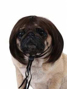 1pc Pet Cat Wig Dog Wig Pet Supplies Halloween Pet Accessories Curly Straight Hair Cat Wig - Multicolor - View 9