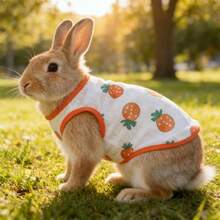 1pc Spring/Summer Cartoon Outdoor Pet Cooling Vest, Breathable & Cool Design, Suitable For Rabbits & Small Pets, Home & Outdoor Cooling Vest - Multicolor - View 3