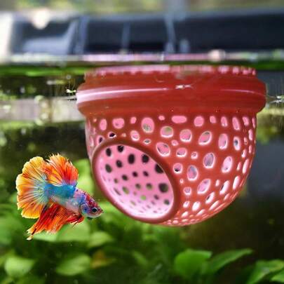 Nhà cá nổi cho bể cá, vòng cho cá ăn nhỏ, môi trường sống và nơi ẩn náu thích hợp cho cá betta, cá bảy màu và cá vàng, phù hợp với hệ sinh thái bể cá/ao, phụ kiện trang trí cho ăn kín đáo trong bể cá.