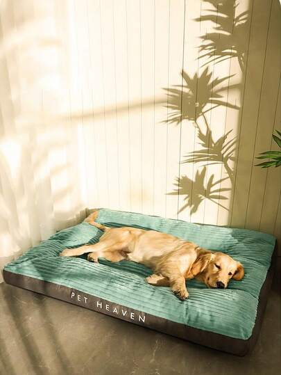 1pc Soft Removable & Washable Plush Pet Mat, Suitable For Medium & Small Cats/Dogs All Seasons, Comfortable Pet Bed For Cute Kittens And Puppies