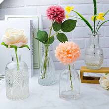 INFTYLE Glasvasen-Set, 24 Stü, kleine Glasvase für Blumen, Knospenvasen in Großpackung, Vintage-Blumenflasche, kleine Glasvase für Blumenarrangements, dekorativer Mittelpunkt, Dekoration für F3Y4 - Clear-24 - Übersicht 7