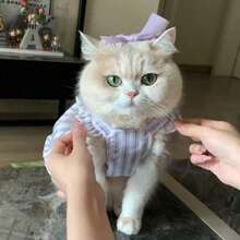 Cat Print Princess Style Ombre Fur Mesh Summer Dress For Small Dogs & Cats, Lightweight - Màu tím - Xem 6