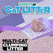 Arena Gatos Arena para Gato 10 kg Aglutinante Arena para Gatos Premium Arena para Gatos Sin Polvo Arena para Gato Premium Sin Aroma 10 kg - como en la foto - Ver 4