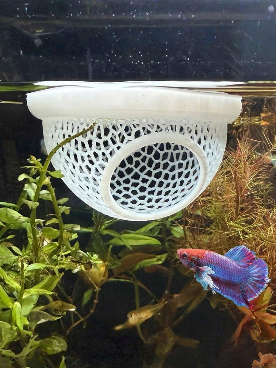 水族箱漂浮鱼屋，小型喂鱼圈，适合斗鱼、孔雀鱼和金鱼等小型鱼类栖息和躲藏，适用于水族箱/池塘生态系统，水族箱隐藏式喂食装饰配件
