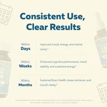 L Methyl Folate 15mg + B12 Cofactor – Organic, Berry Flavor, Professional Strength, Liquid Active 5-MTHF Form, Supports Mood, Methylation, & Cognition Fitness Dietary - 150ml - 查看 7