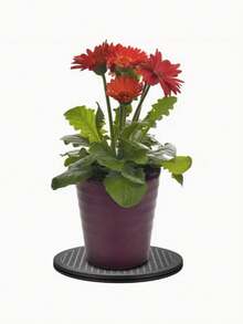 1 pieza Herramienta plana de escultura de arcilla con plataforma giratoria de cerámica, plataforma giratoria de plástico para arreglos florales, computadora, cerámica, escultura de arcilla, exhibición de productos, ideal para cocina y comedor, monitores planos, televisores, altavoces, bonsái y exhibición de estatuas - Negro - Ver 8