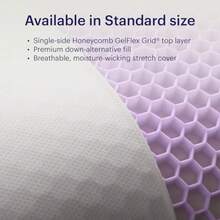 GridCloud Pillow Down-Alternative Pillow GelFlex® Grid For Soft Support And Pressure Relief For Side Sleepers Always-Fluffy Silicone-Coated Fill Breathable Moisture-Wicking Cover - Standard - trắng - Xem 8