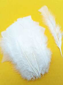 1 Pack Of 20 Pieces Flat Fluffy Turkey/Chicken Feathers Diy Eventaille For Needlework Decor Plume Clothes Accessories Plumas 10-18cm - G - View 17