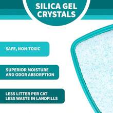 Litter Pearls Arena de Vidrio para Gatos con Odorbond Control de olores Superior Suave bajo Polvo Micro Fresca 7 Libras - Micro Fresco - Ver 4
