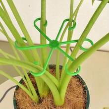 4入植物防倒伏支撐樁，綠色植物支撐/花卉水耕固定架/植物莖幹架/花盆架，專為園藝花卉與綠色植物設計，適用於龜背竹、杜鵑花、水耕系統-攀爬莖、藤蔓、開花植物-花盆與土壤專用園藝固定樁，夾扣系統，支撐系統 - 均碼 - 查看 4