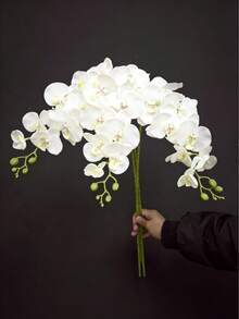 1/3/5pcs 27.5" Artificial Phalaenopsis Orchid Flower Stems, Real Touch Lifelike Flowers For Home, Office, Wedding, School Dorm, Valentine's Day, Mother's Day Gifts, Artificial Plants For Office, Party, Holiday, Birthday, Home, Hotel, Restaurant, Living Room, Bedroom, Kitchen, Garden Decor - White - View 10