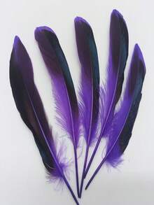 1 Paquete de 20 Piezas de Plumas de Ala de Pato Ánade para Manualidades, Accesorios de Boda, DIY, Plumas Naturales de Faisán para Decoración de Centros de Mesa 10-15 CM/4-6" - J - Ver 11