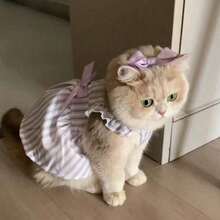 Cat Print Princess Style Ombre Fur Mesh Summer Dress For Small Dogs & Cats, Lightweight - Màu tím - Xem 1
