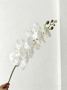 1/3/5pcs 27.5" Artificial Phalaenopsis Orchid Flower Stems, Real Touch Lifelike Flowers For Home, Office, Wedding, School Dorm, Valentine's Day, Mother's Day Gifts, Artificial Plants For Office, Party, Holiday, Birthday, Home, Hotel, Restaurant, Living Room, Bedroom, Kitchen, Garden Decor - White - View 9