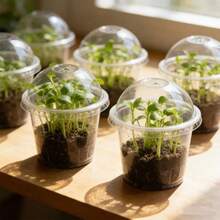 12pcs Black Breathable Seedling Pots, Seed Germination Cups, Flower & Plant Containers, Gardening Vegetable Planting Boxes - Multicolor-2 - View 4