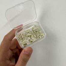 6pcs/Box Model Mini Flower Clusters, Simulation Flower Clusters For Various Miniature Landscape Decorations, Sand Table Decorative Materials, Diy Architectural Model Ornaments - White - View 2