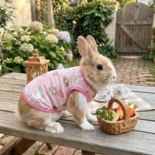 1pc Spring/Summer Cartoon Outdoor Pet Cooling Vest, Breathable & Cool Design, Suitable For Rabbits & Small Pets, Home & Outdoor Cooling Vest - Multicolor - View 4