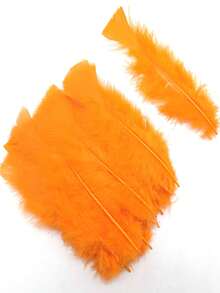 1 Pack Of 20 Pieces Flat Fluffy Turkey/Chicken Feathers Diy Eventaille For Needlework Decor Plume Clothes Accessories Plumas 10-18cm - G - View 8