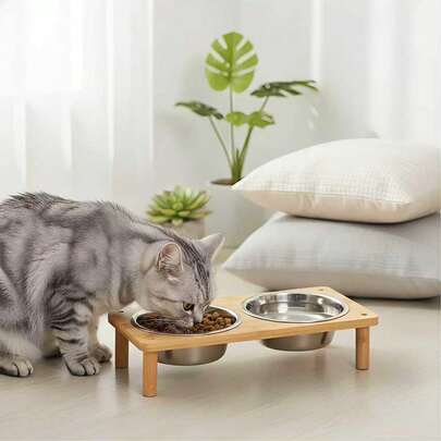 2/3 bát ăn cho mèo được nâng cao, phù hợp với chiều cao ăn của mèo để giảm căng thẳng cổ.