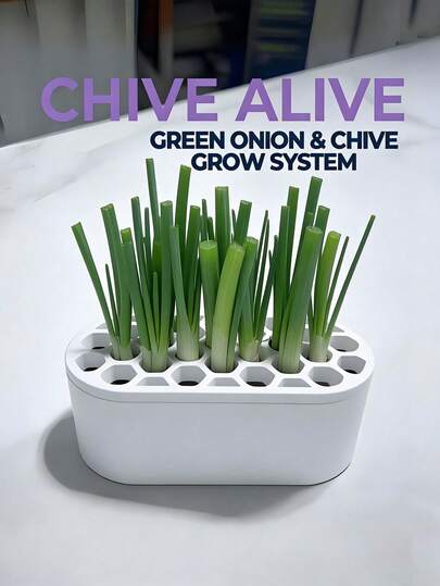 12-Grid Automatic Watering Coriander Planter Box, Kitchen Counter Hydroponic Planting Box Suitable For Green Onion, Scallion And Vegetable Regrowth