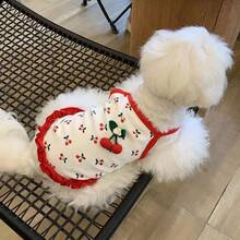 Cute Cat Vest, Suitable For Spring, Summer And Autumn, Fit For American Shorthair, Kittens, Small Dogs. Also Available In Rabbit Clothes And Pet Clothes. Thin Red Spaghetti Strap Cherry Dress For Pet Cats And Dogs In Spring And Summer - Red - View 7