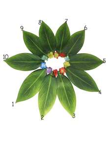 1件绿色10叶夏威夷草裙，1件绿色15叶夏威夷草裙，女士及女孩夏季沙滩派对服装 - 布藝樹葉裙 - 查看 9