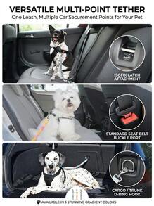 PETSIN 1 Pc Pet Car Seat Belt, Gradient Color Dog Retractable Leash, Rainbow Style Pet Leash, Elastic Cushioning Car Seat Belt Nylon Seat Belt, Heavy Duty Durable Dog Car Seat Belt, Dog Seat Belt, Make Your Dog ! Dog Outing Dog Supplies Dog Car Seat Car Seat Covers Dog Car Seat Cover Pet Car Seat - Multicolor - View 9