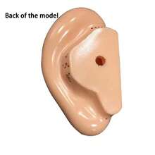 Modelo de oreja de acupuntura de 13 cm - Pantalla profesional de puntos de acupuntura, adecuado para acupuntores, estudiantes y práctica de tratamiento, mejor regalo para aprender acupuntura - Ver 5