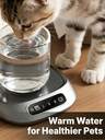 Hot Tea Makers