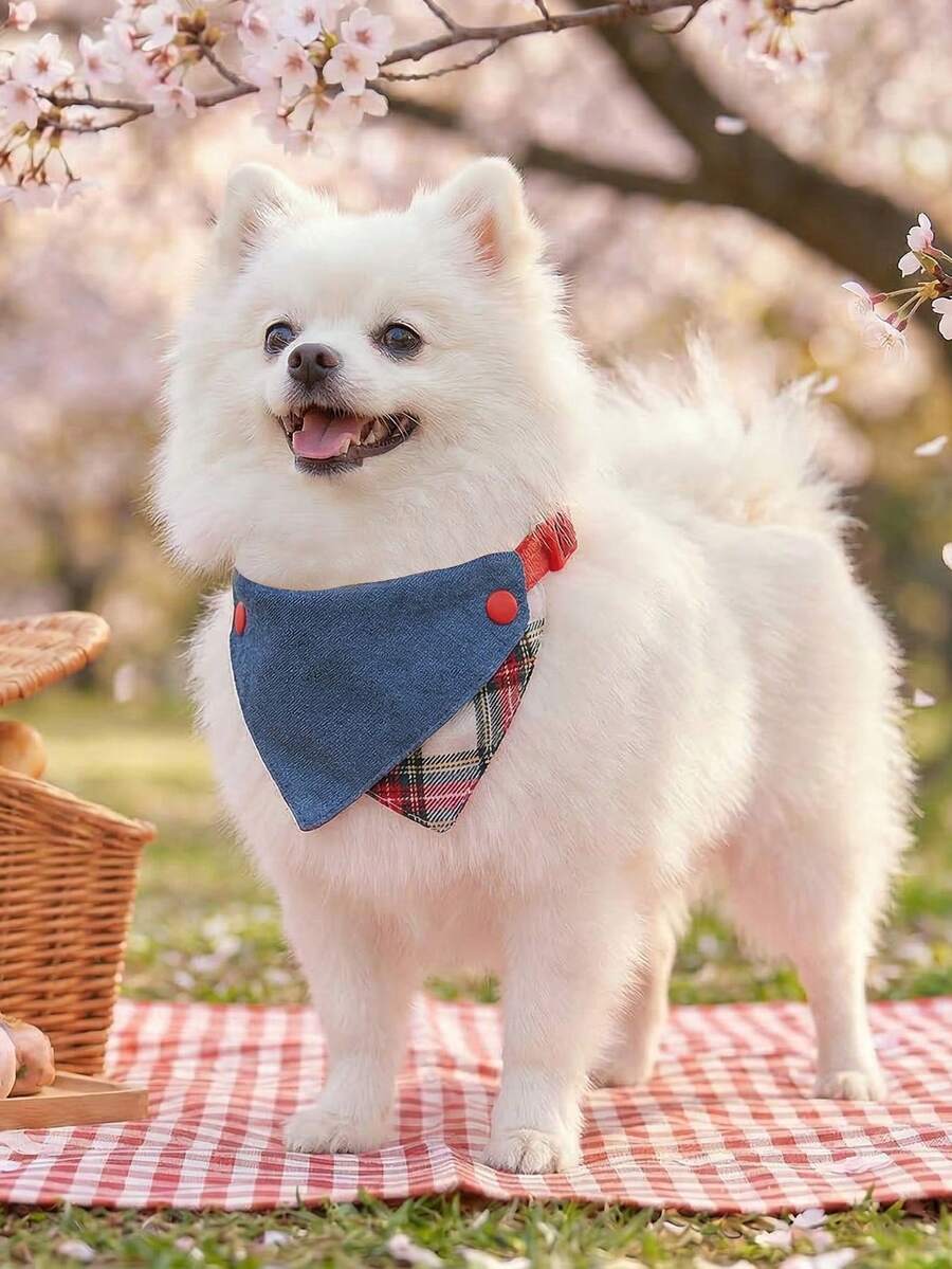 PETCIRCLE 1件宠物围兜，可爱圣诞格子三角图案，适合泰迪犬、贵宾犬等小型犬。 - 彩色 - 查看 1