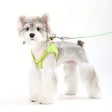 New Soft & Lightweight Step-In Dog Harness, Breathable Mesh Pet Chest Strap With Reflective Safety, Convenient For Walking Small Dogs & Cats Outdoor - Multicolor - View 3