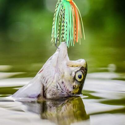 1 Pieza / 3 Piezas / 5 Piezas Juego de cebo artificial de agua dulce - Resistente a la prueba, protección evitando el fondo, cebo falso para nadar - Cebo falso de natación Luria, cebo giratorio para pesca, accesorios de pesca