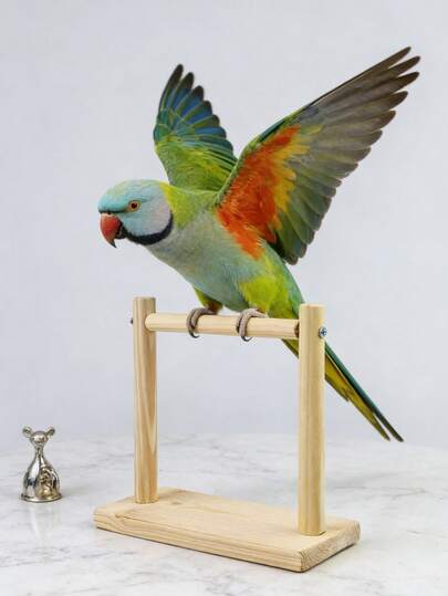 1pc Wooden Parrot Training Stand, Bird Toy, Wooden Bird Swing, Bird Perch Stand, Suitable For Parrots And Various Birds