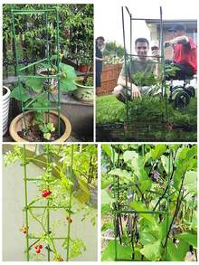 10件/20件組可調節植物支撐套組，含連接件、金屬花園攀爬架框架、綠色PE塗層攀爬植物支撐桿，適用於水果、蔬菜藤本植物與花卉 - 戶外小黃瓜攀爬架含連接管、核心支柱與連接夾，花園涼亭用品 - 配件款 - 查看 6