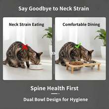 2/3 bát ăn cho mèo được nâng cao, phù hợp với chiều cao ăn của mèo để giảm căng thẳng cổ. - 300ml - Xem 3