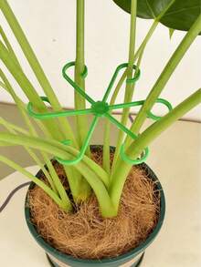 4入植物防倒伏支撐樁，綠色植物支撐/花卉水耕固定架/植物莖幹架/花盆架，專為園藝花卉與綠色植物設計，適用於龜背竹、杜鵑花、水耕系統-攀爬莖、藤蔓、開花植物-花盆與土壤專用園藝固定樁，夾扣系統，支撐系統 - 均碼 - 查看 8