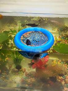 Floating Fish House For Aquarium, Small Fish Feeding Ring, Suitable Habitat And Hiding Place For Bettas, Fancy Guppies And Goldfish, Applicable For Aquarium/Pond Ecosystem, Aquarium Hidden Feeding Decor Accessory - Happy Aquarium - View 10