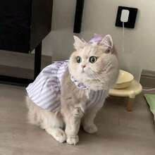 Cat Print Princess Style Ombre Fur Mesh Summer Dress For Small Dogs & Cats, Lightweight - Màu tím - Xem 3