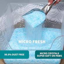 Litter Pearls Arena de Vidrio para Gatos con Odorbond Control de olores Superior Suave bajo Polvo Micro Fresca 7 Libras - Micro Fresco - Ver 2