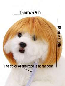 1pc Pet Cat Wig Dog Wig Pet Supplies Halloween Pet Accessories Curly Straight Hair Cat Wig - Multicolor - View 10