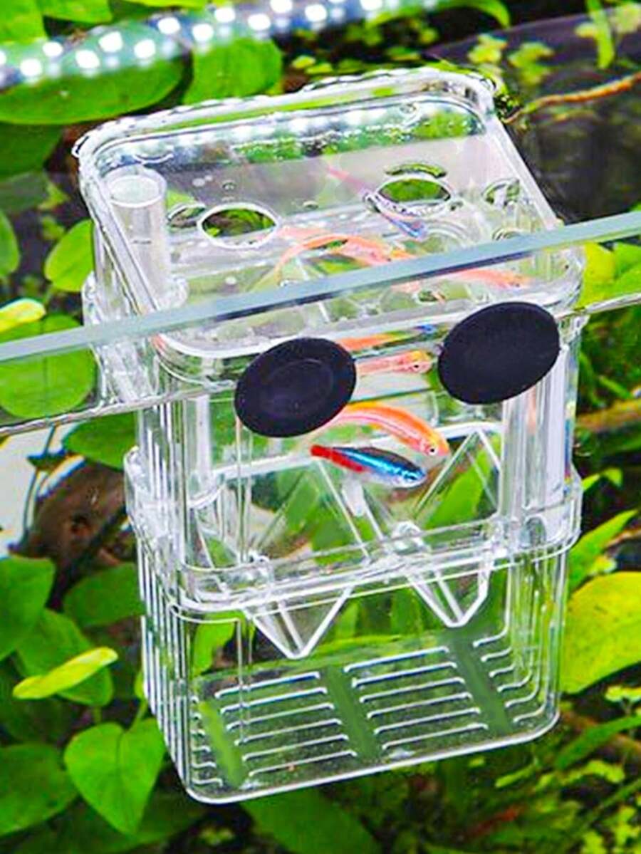 1pc PVC Material Fish Breeding Box, Double-Layer Transparent Fish Breeding Isolation Box, Hatchery Aquarium Spawning Tank