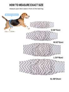 Reusable Dog Diapers, Puppy Belly Wrap, Leak-Proof, Waterproof, Absorbent, Heat Cycle & Potty Training, Available In S/M/L/XL - Multicolor - View 2